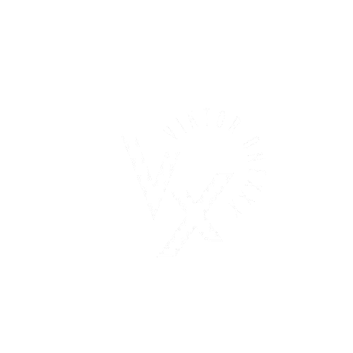 VIKTOR ONEE
